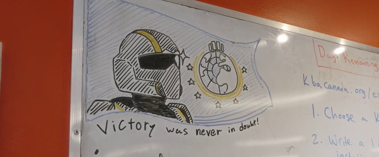 A look inside VISII
